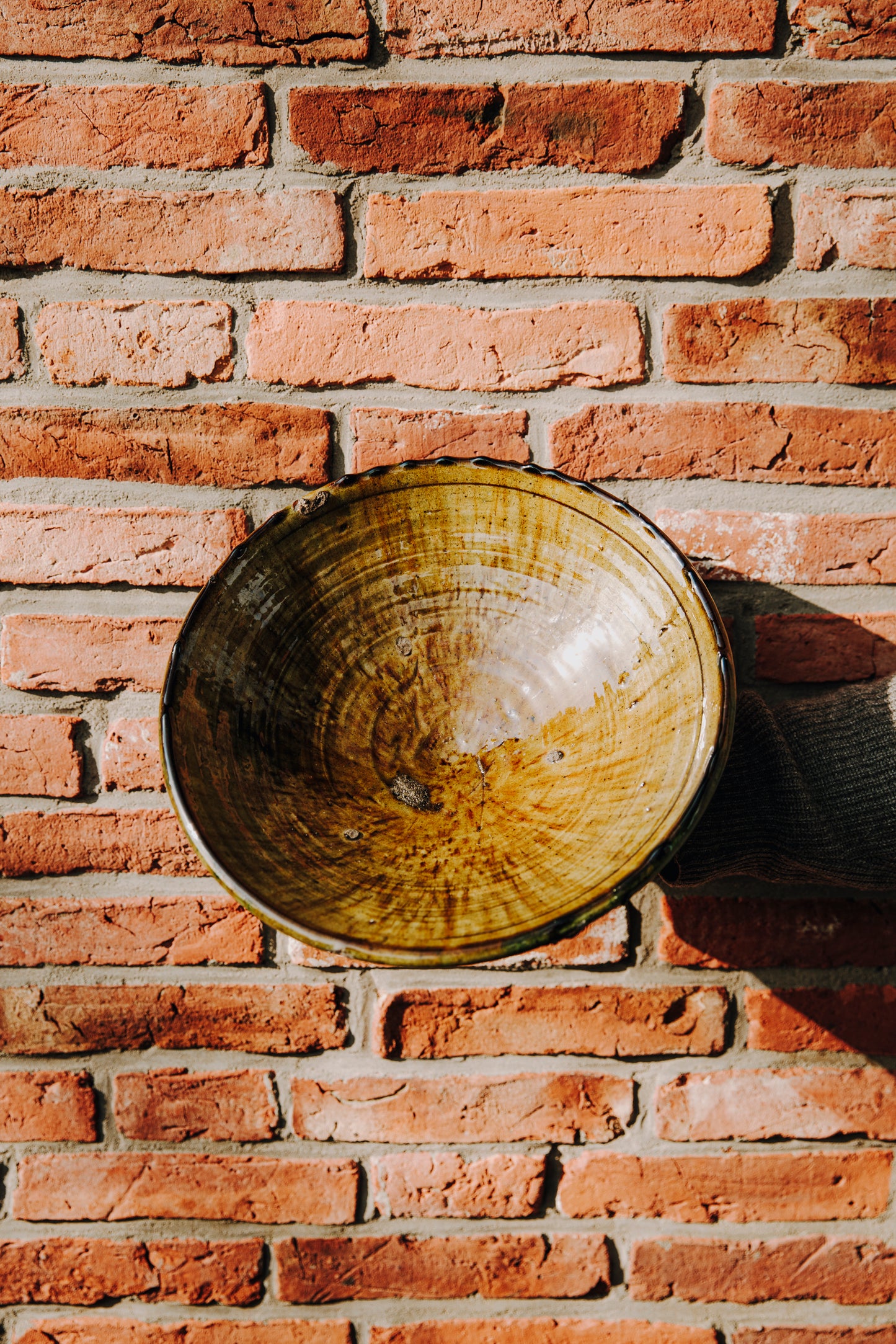 Tamegroute BOWL olive
